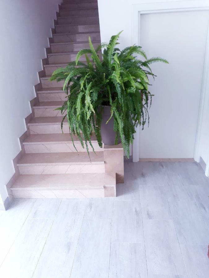 Lux Ground Apartment - Makarska Exterior photo